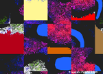 OM C3.gif